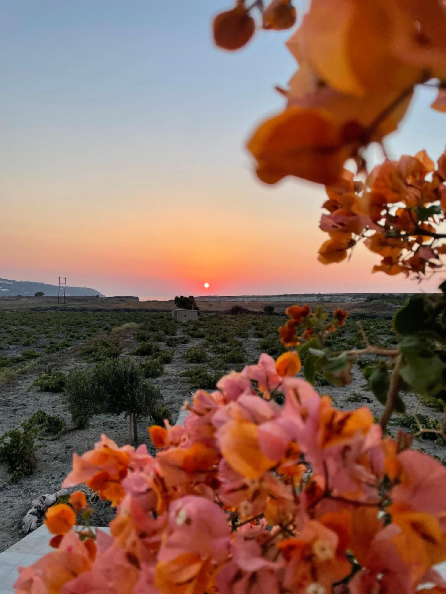 Zana's Villas-zenia * Akrotiri (Santorini)